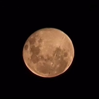 lunanoeli4's profile picture. 