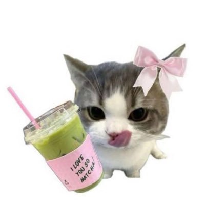 vantemail's profile picture. im just a girl written by taylor swift