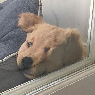 seepuni22's profile picture. ᓚ₍⑅^..^₎♡ 𝑷𝒆𝒓𝒕𝒕𝒚 𝑮𝒓𝒂𝒎𝒔 𐔌 ᴅᴜᴅᴜᴅᴜ ʜᴀᴘᴘʏ ²⁰⁰²ᵖᵉʳ ꒱ 
ᴘᴏɴᴅᴘʜᴜᴡɪɴ 🐼🐻 ` ʟʏᴋɴ ⁵ ; 𝑚𝑢.𝑡𝑢𝑖*ℎ𝑜𝑛𝑔𝑠ℎ𝑖 ;*) ʙᴘ ∞ .ᐟ₊ ꒱ | .☘ 𐔌@sayhyeinpu ꒱