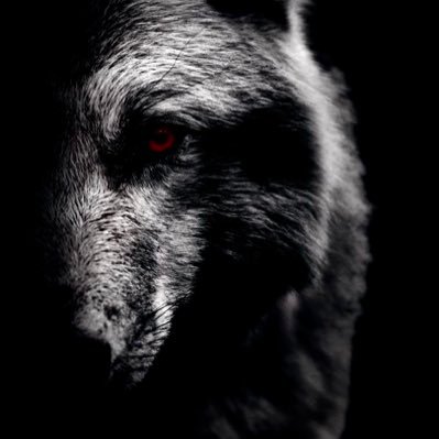 ewining71's profile picture. got suspended paying for blue tick.