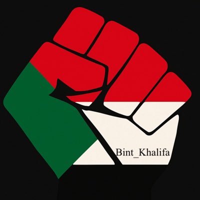 Bit_Khalifa1417's profile picture. (Community Psychologist & Early Childhood Development Specialist )🇵🇸🇸🇩 بكرة نسمع قالوا سالمة وقالوا آمنة ونبقى اجمل شعب صابر ويبقى كل الفات حكاوي🇵🇸🇸🇩