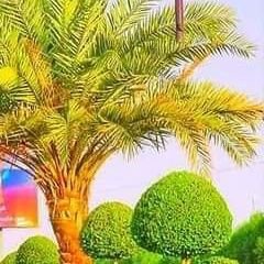 dy_abw78361's profile picture. 