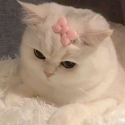 Ayin2617's profile picture. to support zofgk 
and other lck players