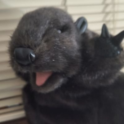 nibbagonewild's profile picture. CA:

935inwhBKCnvbyLTsTjABZQkyUMh5qymncMWxJxepump