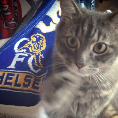 chelshilal's profile picture. 10