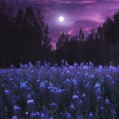 ssi9999999's profile picture. 안 아프고 몸과 마음 건강하게 살고 싶은 사람