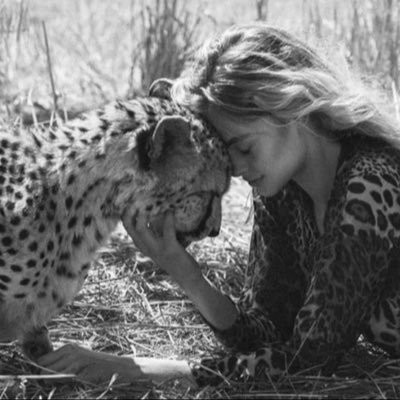 il1llill's profile picture. #ittihad