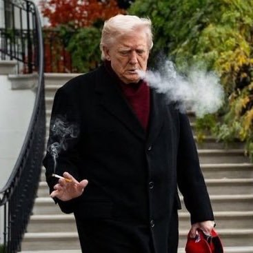 baldwinrober45's profile picture. Jesus is Lord & Saviour. There is objective beauty. Trump!