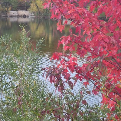 samirr353's profile picture. cool