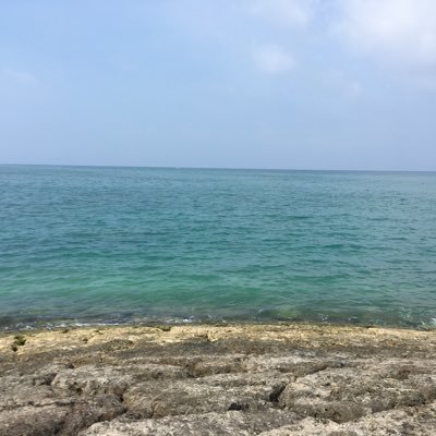 UMpyihQBpMSY5S7's profile picture. 