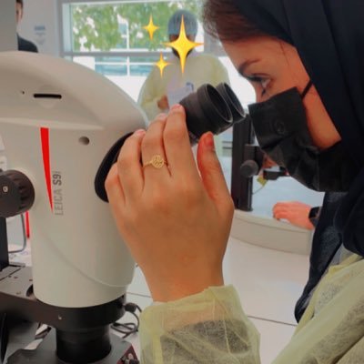 Arwa_Almousaed's profile picture. Researcher / Kingdom of Saudi Arabia | Personal account