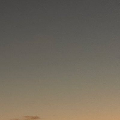 isaacdecastro's profile picture. social @tabletmag