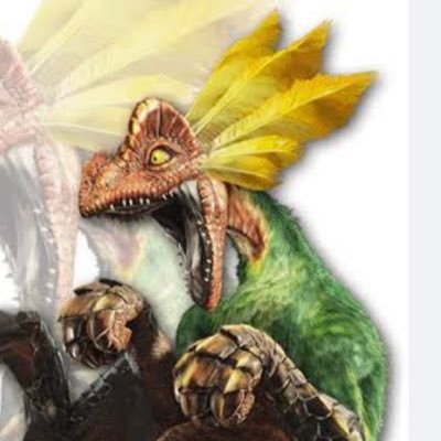 R76633's profile picture. #モンハン　好きなシリーズはモンハンクロス 大剣、弓、片手剣、棍、使い　推しのモンスターはドスマッカォ　モンハン飯はワールドが1番美味しいと思う！！