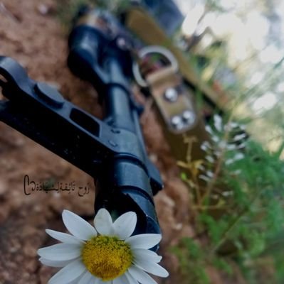 Brielle_z's profile picture. No one comes into another's life by chance. Thank you all. Some for the fairy tale, others 
for the shake-up... 🕷🦋