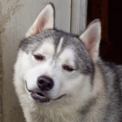 dpps5387690's profile picture. 