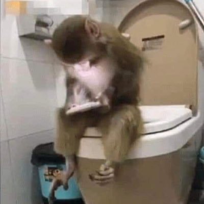 _amityblight's profile picture. consideração final,enlouqueci.