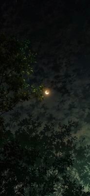 R_Pooja_Shree's profile picture. 