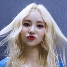 hamstersacudo's profile picture. ai hugo é tão sem graça dá nem pra dançar minha filha hugo é pra abrir a mente não as pernas