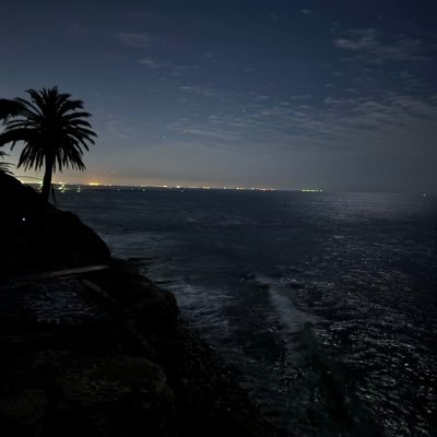 Lizvill02's profile picture. 