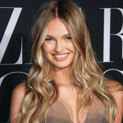 stcr_light's profile picture. 