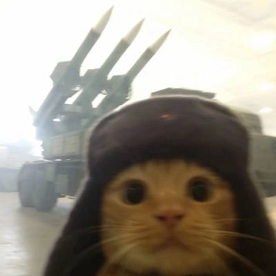 freidrupp's profile picture. 