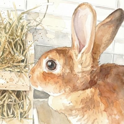 e0twi's profile picture. 在宅介護と仕事の両立をしたい／HWの設計評価から縁あってSWのQAにキャリアチェンジしました／ミニレッキスの家族溺愛してます🐰／拝見したポストには感謝♥しております／生成AIテスト頑張って模索してます　アプリをAIと一緒に作成中／でかけられない呪いにかかっていて隠れてるAG！ファン（元気もらってます）