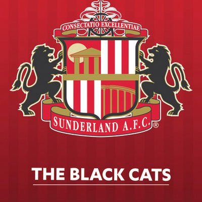 RafiqSafcAli's profile picture. 