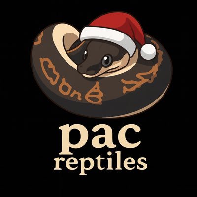 PacReptiles's profile picture. 爬虫類・両生類にまんまと沼りました、よかったらお付き合いください。現在はボールパイソン、セイブシシバナヘビ、フトアゴ、ニシアフ、レオパ、クレス、ガーゴ、チャホア、ジャイゲコ、アカメカブト、ツノガエル、アメフクラガエル、リクガメと暮らしてます。（数かぞえるのやめました…）