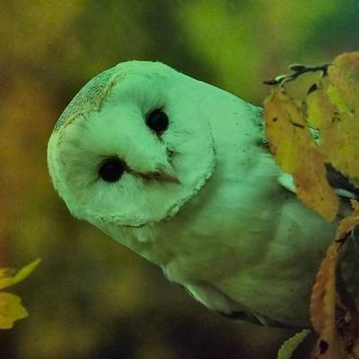 CosmicCoffee42's profile picture. The artistic expression of life through the eyes of your average Afghan War veteran. // Poet, gardener, chef, single father among other things and dreams.