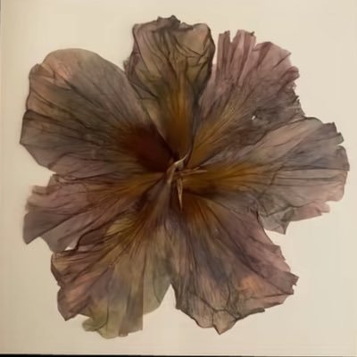 puzzle_2929's profile picture. パスワードを忘れて1から作り直しましたすみませんバカしました。