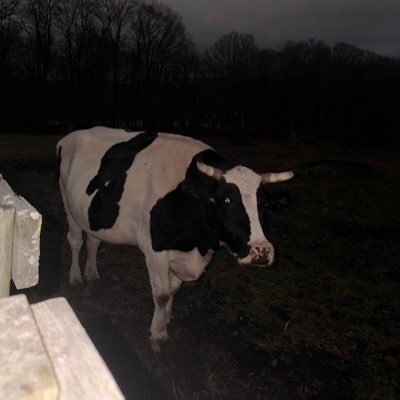 hydriniareborn's profile picture. Strategist | Trader |  Developer