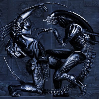 XENObri's profile picture. 