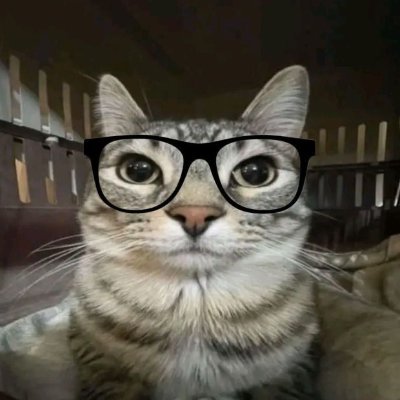 Wiligamesstarr's profile picture. O Pior Perfil Do X....