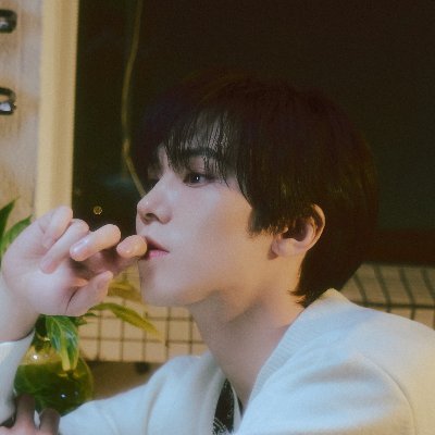 p_rockyent's profile picture. ROCKY official X