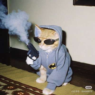 Ella1492654's profile picture. Echosync华语聚集区https://t.co/QzzJNQ83zE|独立交易员🏆｜数据分析🧐｜区块信息捕手🎯|分享链上行情🏄‍♂️