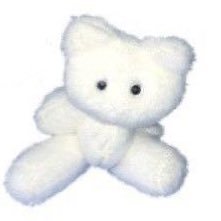 ___h___r___k__'s profile picture. 服飾勤務。可愛いものを見つけるのが得意です🥚†