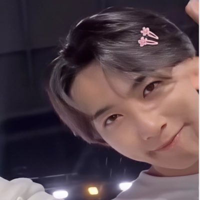 chnsasvntn's profile picture. ✧･ﾟ: * SEVENTEEN is the calm in my chaos. *:･ﾟ and yes, toramie here :) | hr corpo carat ෆෆ