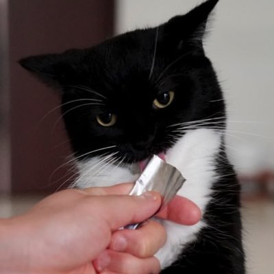 101Iight's profile picture. quantum graviton sponge theory