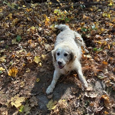 madi_0821's profile picture. 