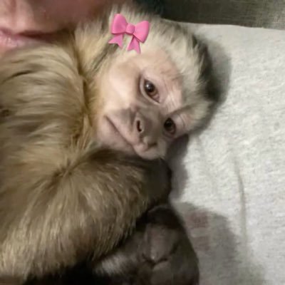 yassrezendee's profile picture. 