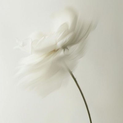 doubleee__'s profile picture. يارب.. وأنْتَ الكبيرُ في عليائِكَ وأنا الهَباءةُ في كونِكَ؛ فَكُنْ أنتَ الصَّاحب في سَفرِ الحياة..