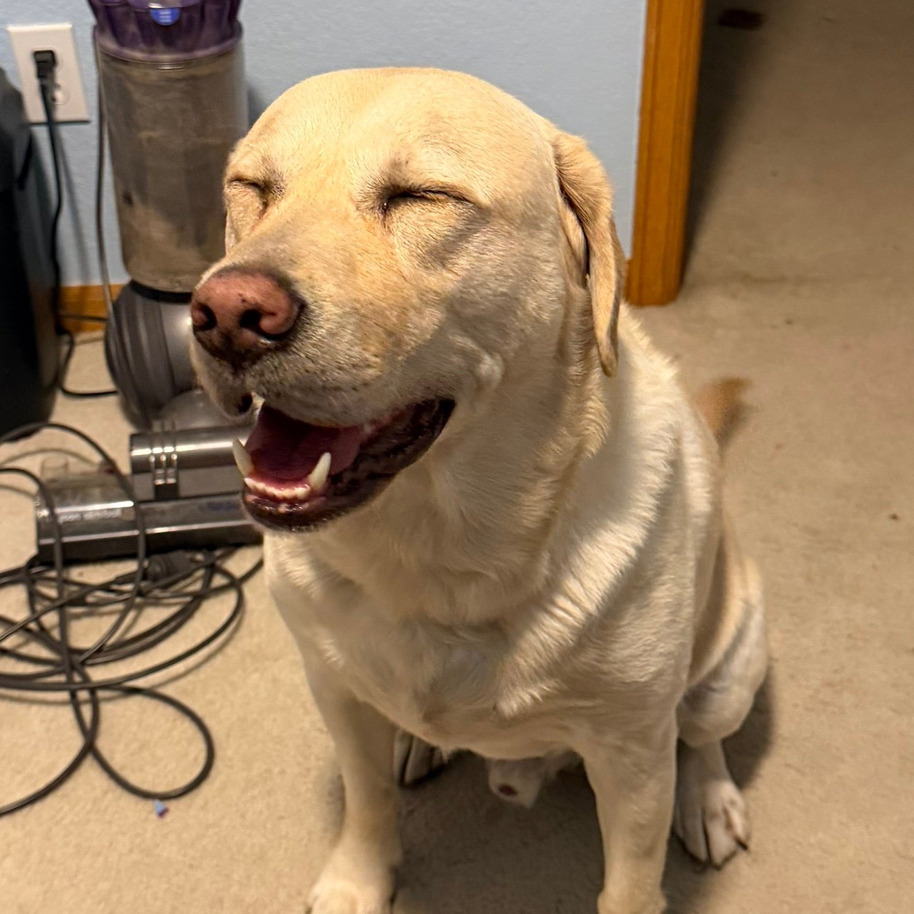 RJDen90's profile picture. 