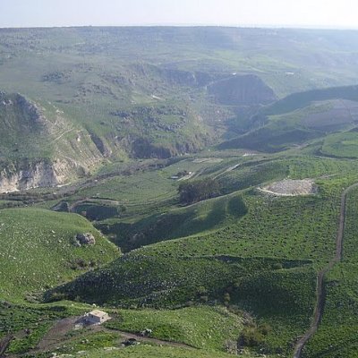 WaleedAhme2282's profile picture. 