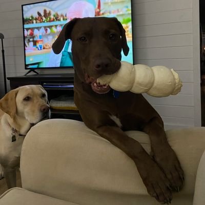 BoilingCrude's profile picture. Did you exchange a walk on part in the war for a lead role in a cage?
😉