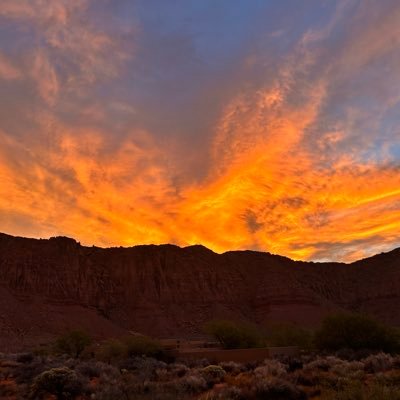 JenlovesWolves's profile picture. Passionate dog trainer, Californian woman, living in different state. Homebody at heart. Wolf Lover