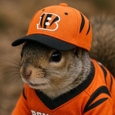 whodeysquirrel's profile picture. just a squirrel that knows ball