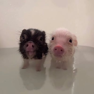 julyysall156's profile picture. 7트 계정