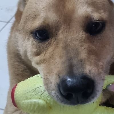 crftatiana's profile picture. 