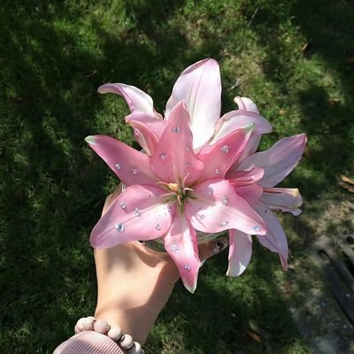 sillytinytoes's profile picture. part au unbreakable bond aku retweet di akun @alealeiia ♡ kumpulan au
https://t.co/EavGVbP2AM