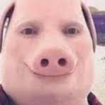 JohnPorkIrelia's profile picture. 